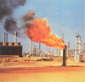 ENERGIAS TÉRMICAS(CARBÓN, PETROLEO Y GAS NATURAL)